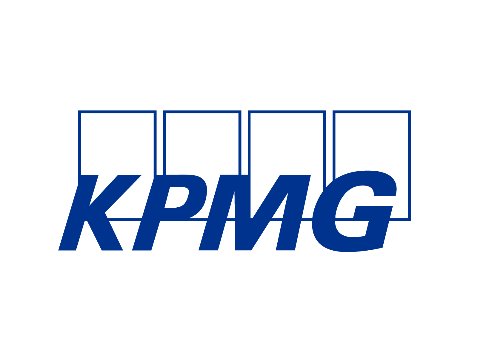 Partner Logo 6